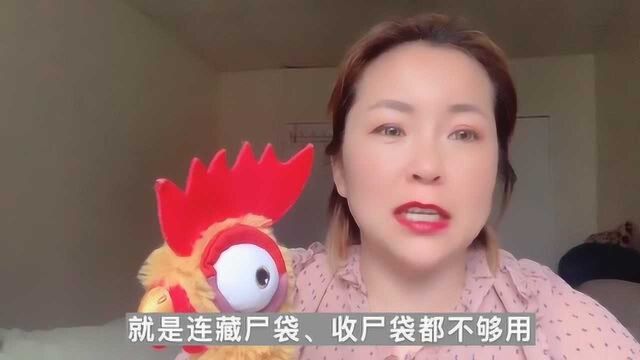 纽约抗疫日记:军舰到达纽约一周才接客22个,美帝做事情,让人嘀笑皆非