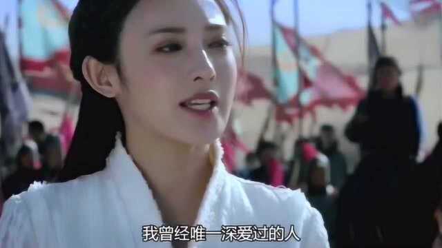 可怜了那西洲九公主,尽其一生,只因这一“情”字,落了个一无所有的结局