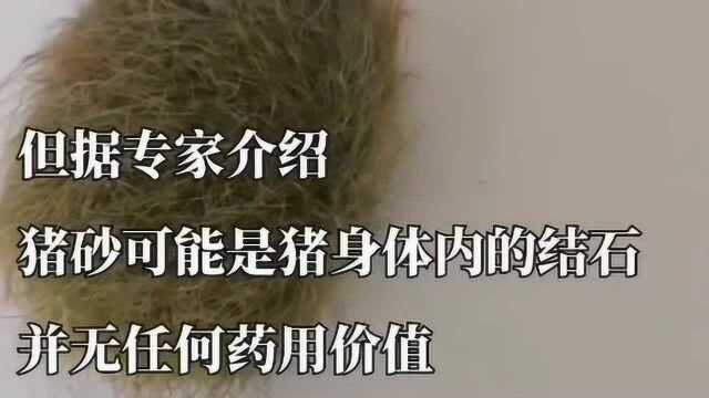 吉林榆树的一家农户杀猪时发现“猪砂”,售价30万元,专家:扯淡!