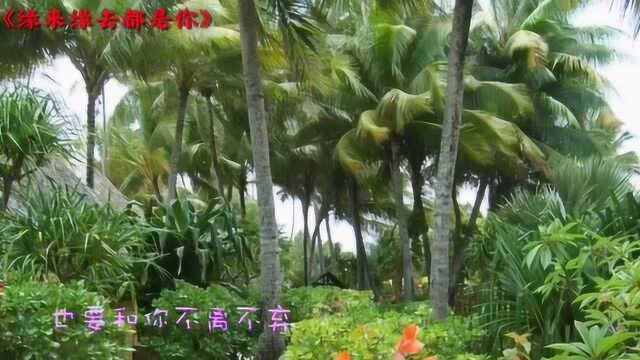 一曲《缘来缘去都是你》缘分其实就这么简单珍惜就好