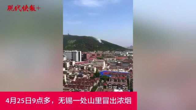 突发!无锡惠山森林公园一树林起火,现已扑灭