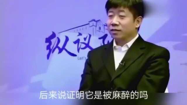 俄罗斯经济排名为什么低?金灿荣:光会秀肌肉,导致社会疲劳!