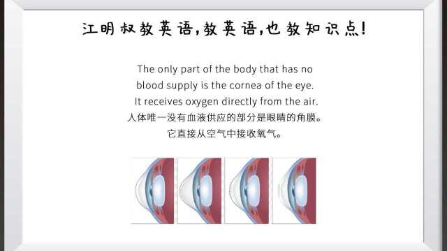 用英语跟你分享一些跟人体相关的知识.