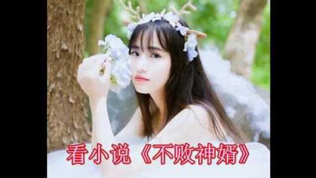 不败神婿杨辰正版小说免费阅读