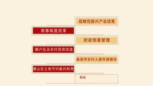 【数字看两会】2019合肥成绩单