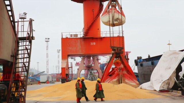 中国到处购买粮食才勉强够吃,而印度这么贫穷,却还能出口粮食