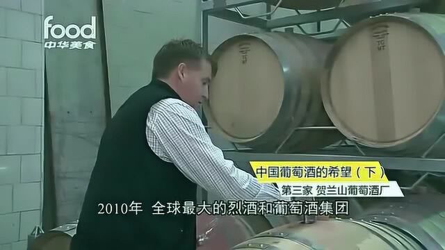 中国葡萄酒的希望之一:贺兰山东麓葡萄酿酒厂