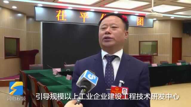 聚焦聊城两会|茌平区长朱正林:“四量”并举做好产业转型升级大文章