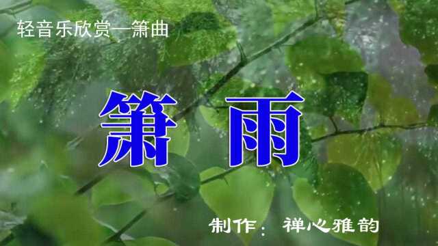 轻音乐《箫雨》,箫音所在处处,皆有静默相随