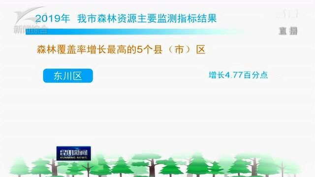 昆明市森林面积 森林蓄积量呈“双增长”态势