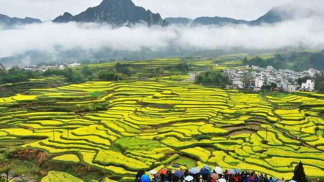 中国最美的乡村,油菜花风景胜地,被誉为“世外桃源”!  副本