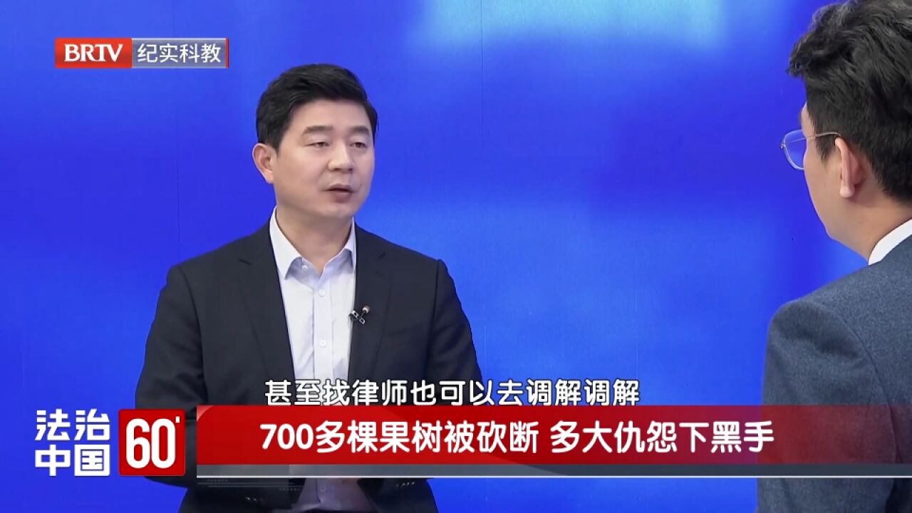 700多棵果树被砍断,多大仇怨下黑手,索要借款要通过合法途径