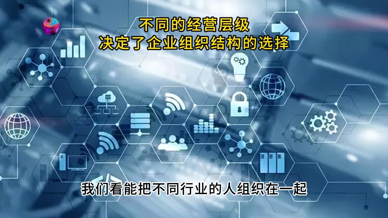 不同的经营层级,决定了企业组织结构的选择