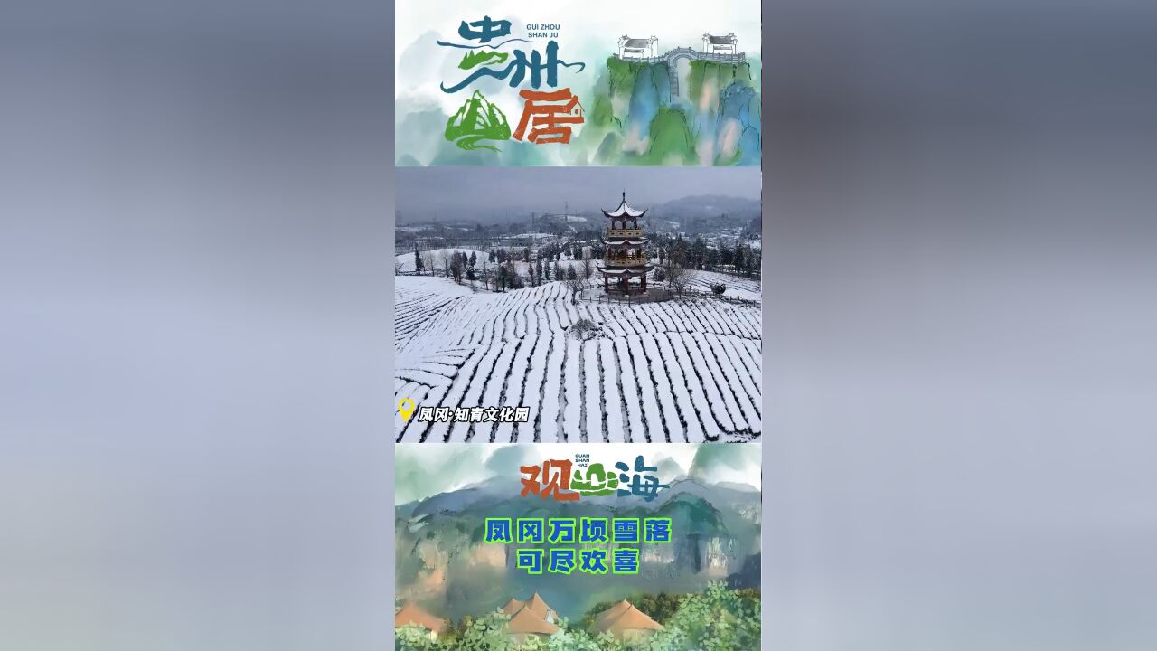 贵州山居|凤冈万顷雪落,可尽欢喜