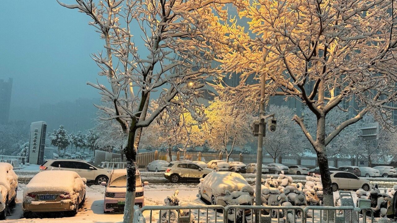 寒潮来袭南方多地开启“暴雪模式”:雪花漫天飞舞,大地披上银装