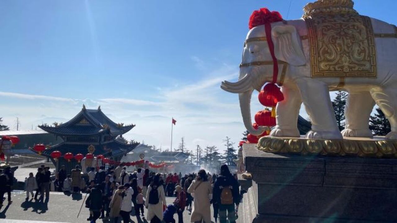 我在四川过大年:天府之国的丰饶与繁华