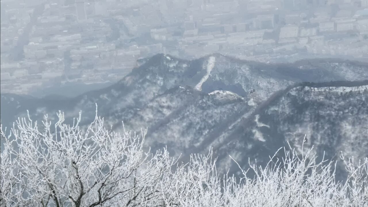 突降大暴雪!泰山景区于2月15日凌晨6点封山