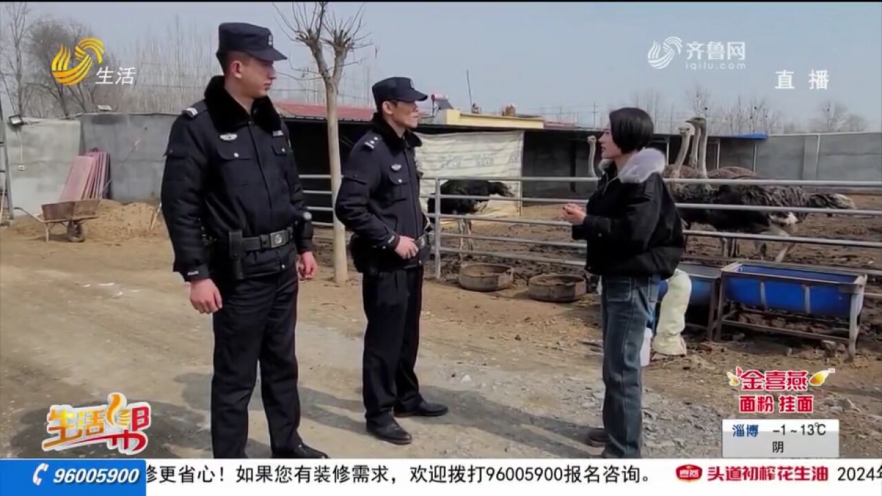 诈骗分子冒充网红卖"鸵鸟",嘉祥警方立即展开调查,将其依法拘留