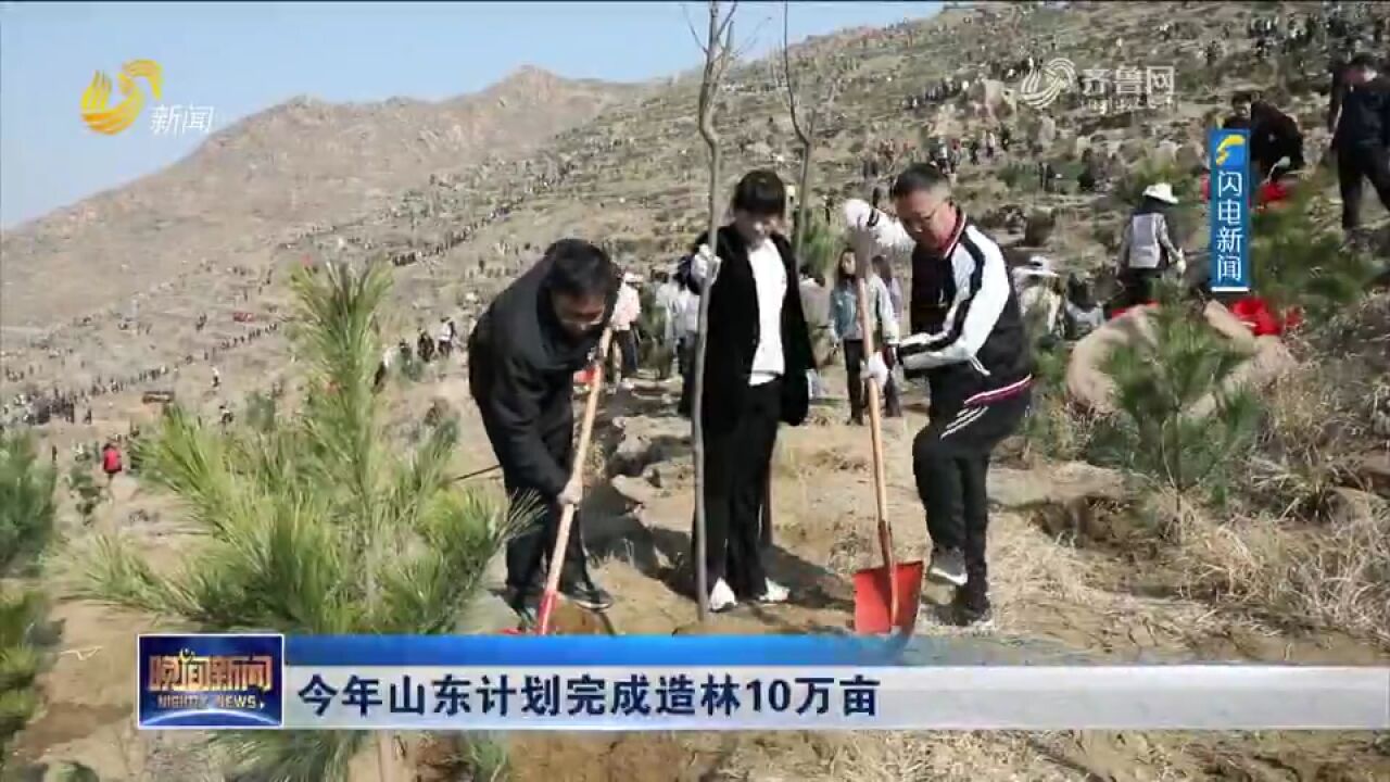 植树添绿!今年山东计划完成造林10万亩,目前已完成造林1.6万亩