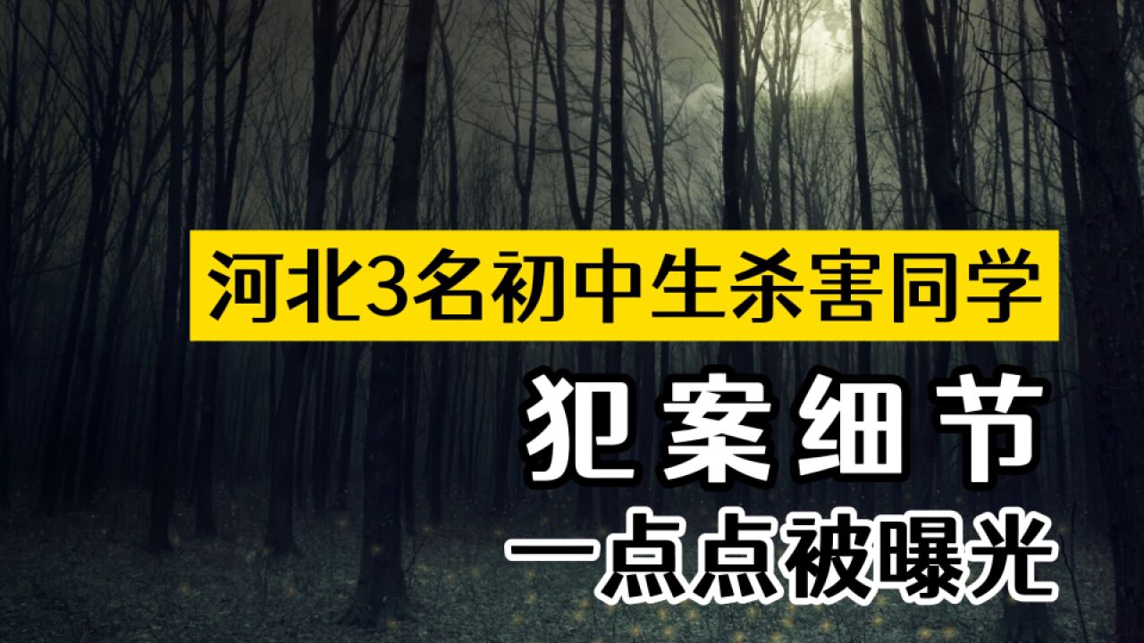 河北3名初中生杀害同学,犯案细节,一点点被曝光