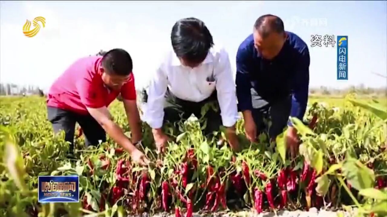 山东:抢抓项目建设黄金期,提升服务保障水平,加快重点项目建设