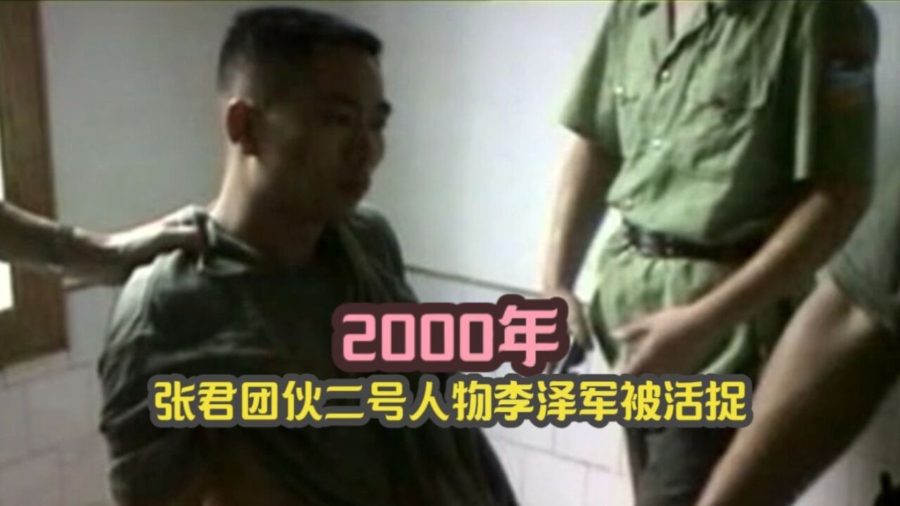 2000年,张君团伙二号人物李泽军被活捉,差点拿散弹枪反抗