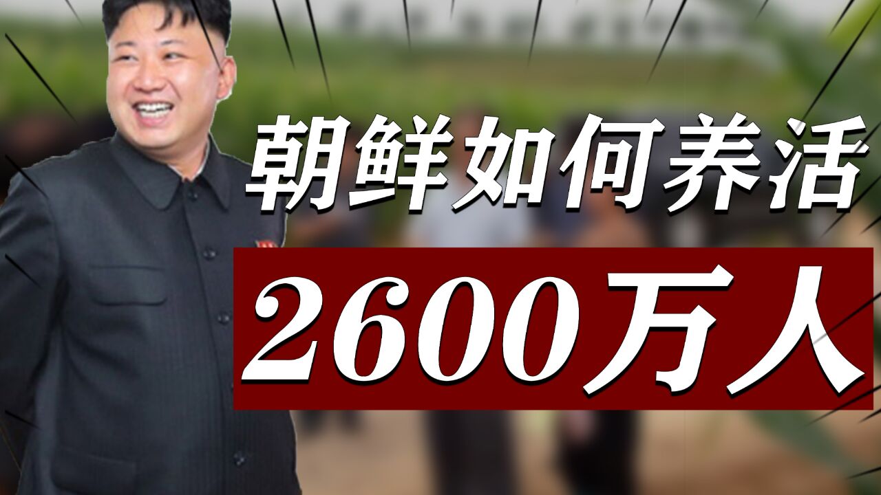 人均耕地不到1亩,遭西方制裁76年,朝鲜拿什么养活2600万人?