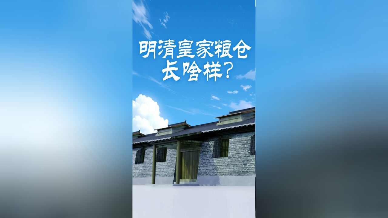 明清时期的皇家粮仓,到底长啥样?|大运河申遗10周年