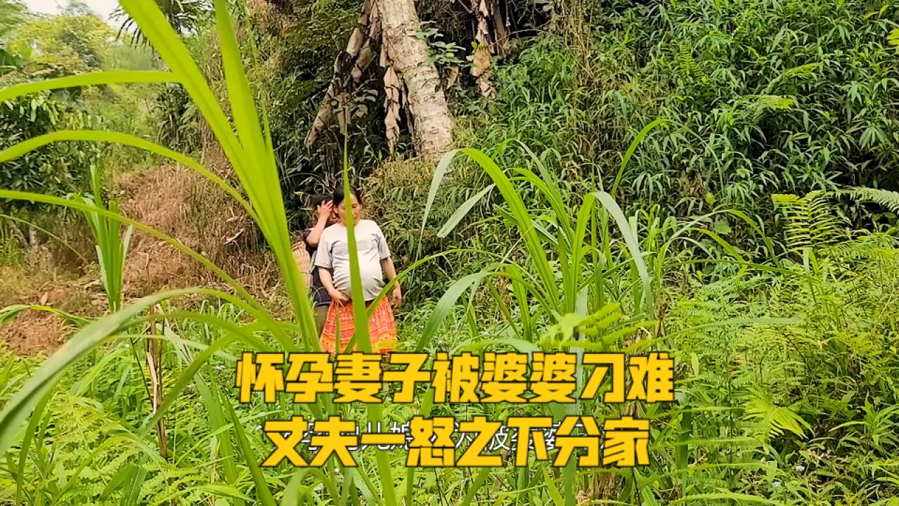 怀孕妻子被婆婆刁难,丈夫一怒之下分家,带妻儿去往深山建房生活|纪录片