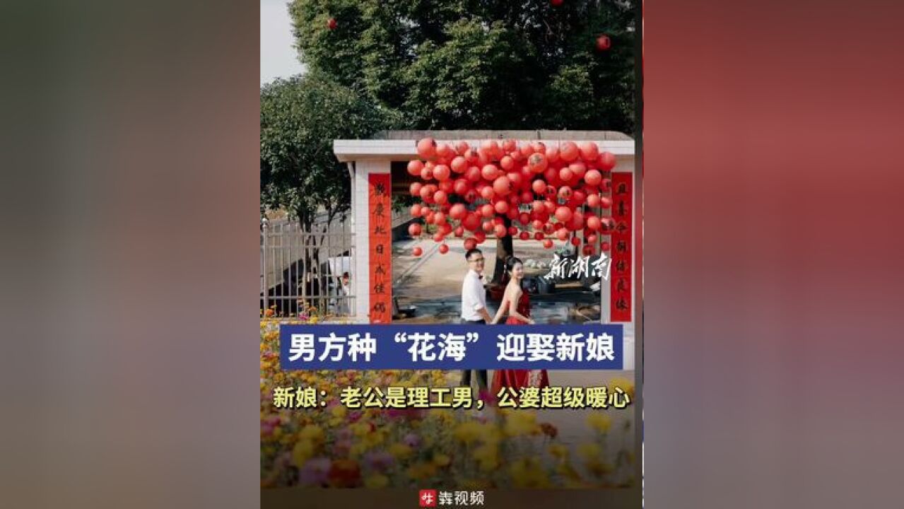 网传长沙一男子种出“花海”迎娶新娘 新娘回应:老公是理工男,是公公婆婆的浪漫