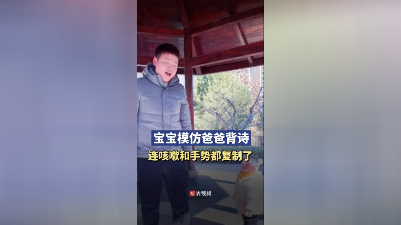 23个月宝宝模仿爸爸背诗,连咳嗽和手势完美复刻,网友:新脑子就是好使