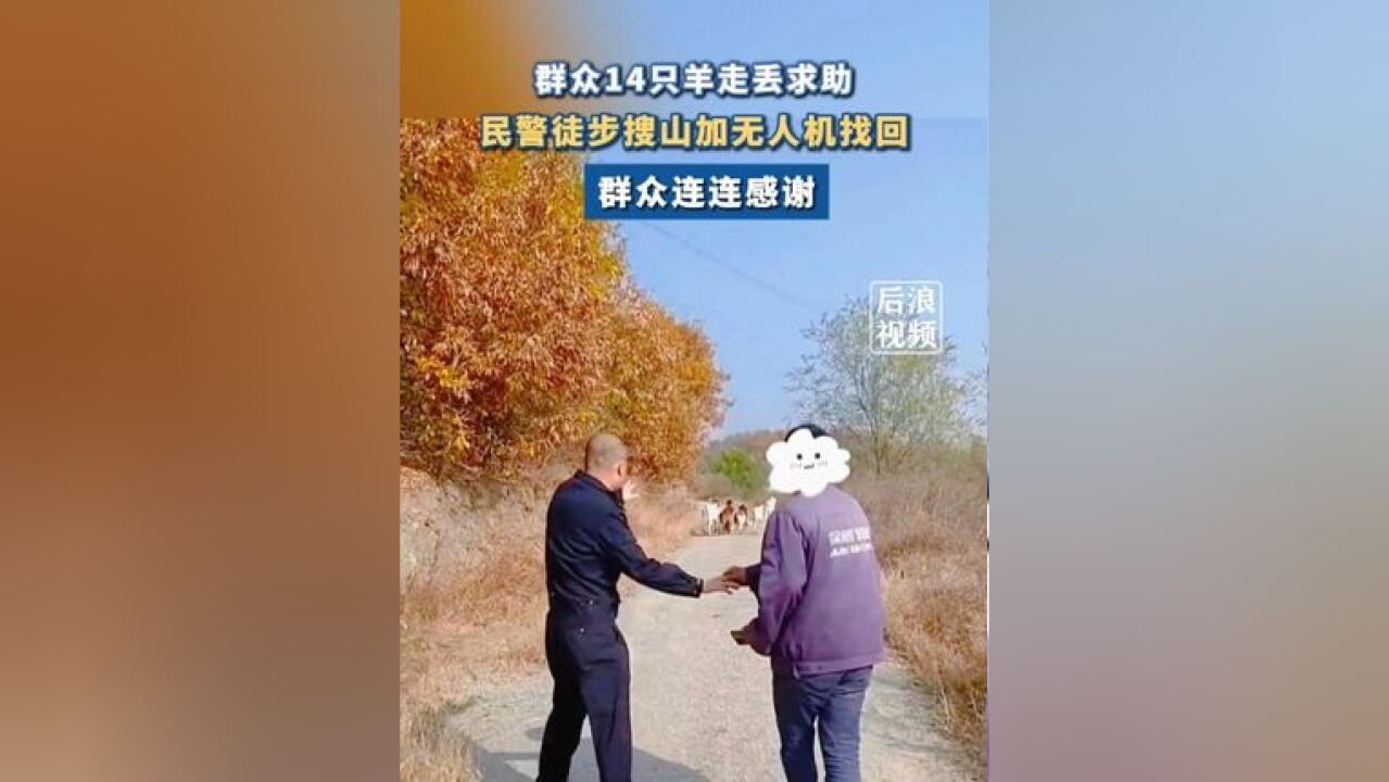 民警徒步搜山帮群众找回14只羊