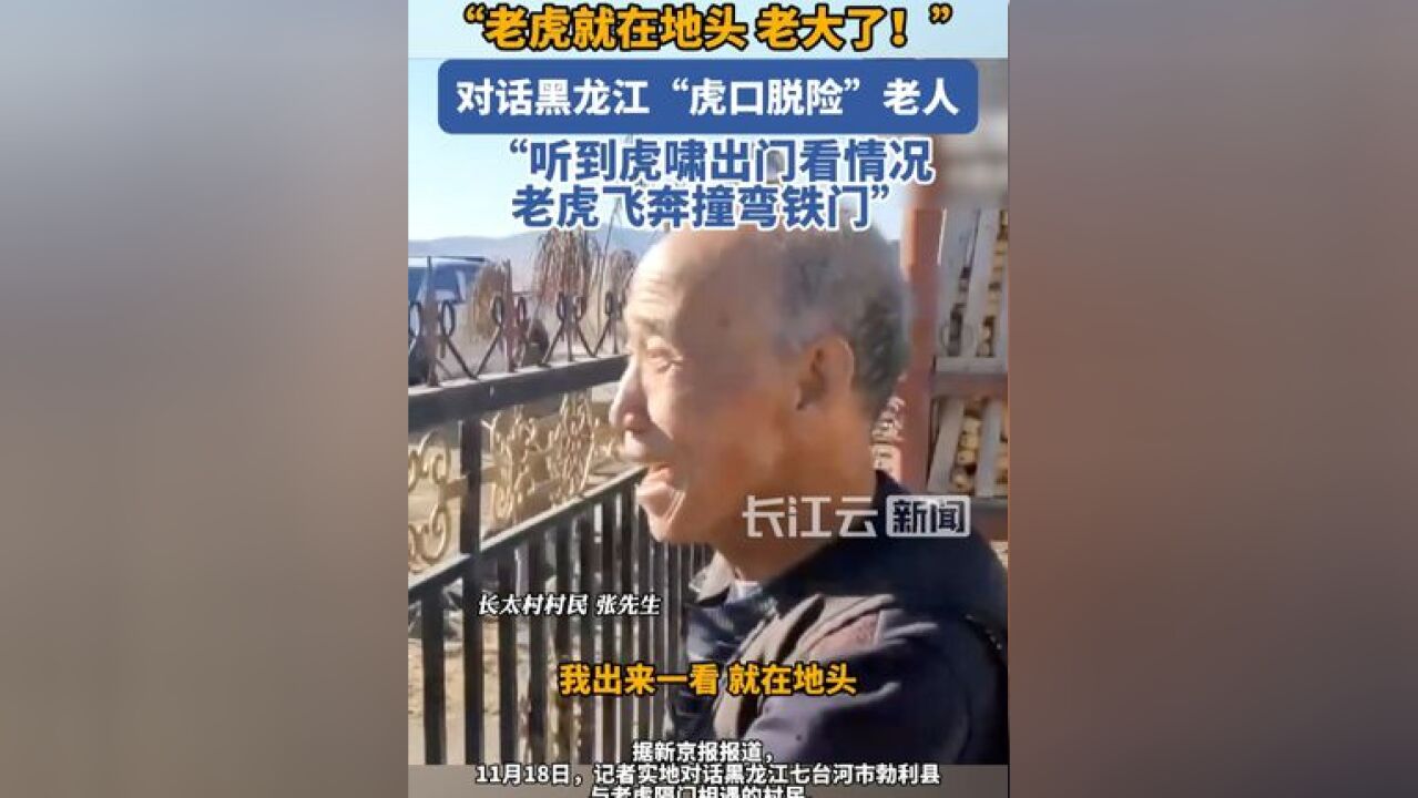 对话黑龙江“虎口脱险”老人:老虎就在地头 老大了