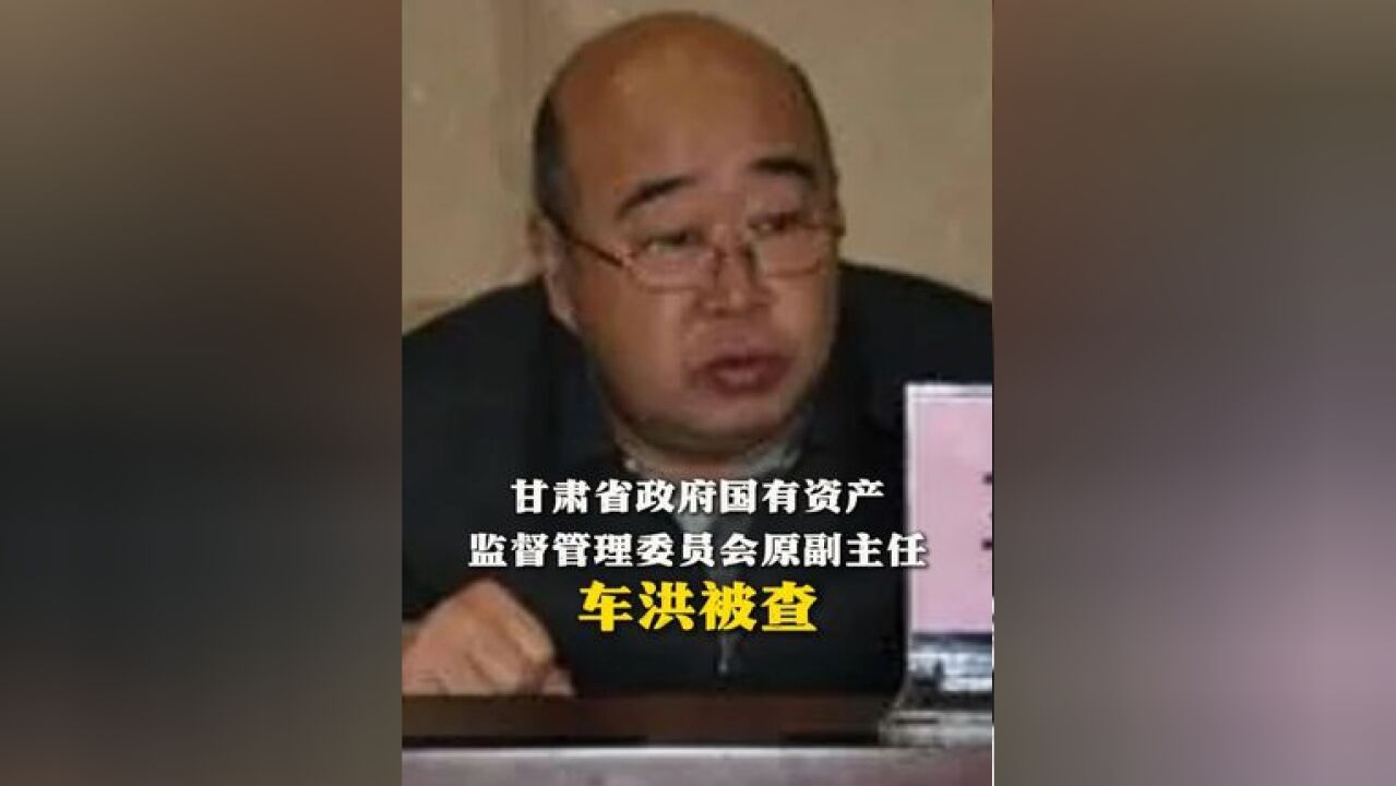 甘肃省政府国有资产监督管理委员会原副主任车洪被查