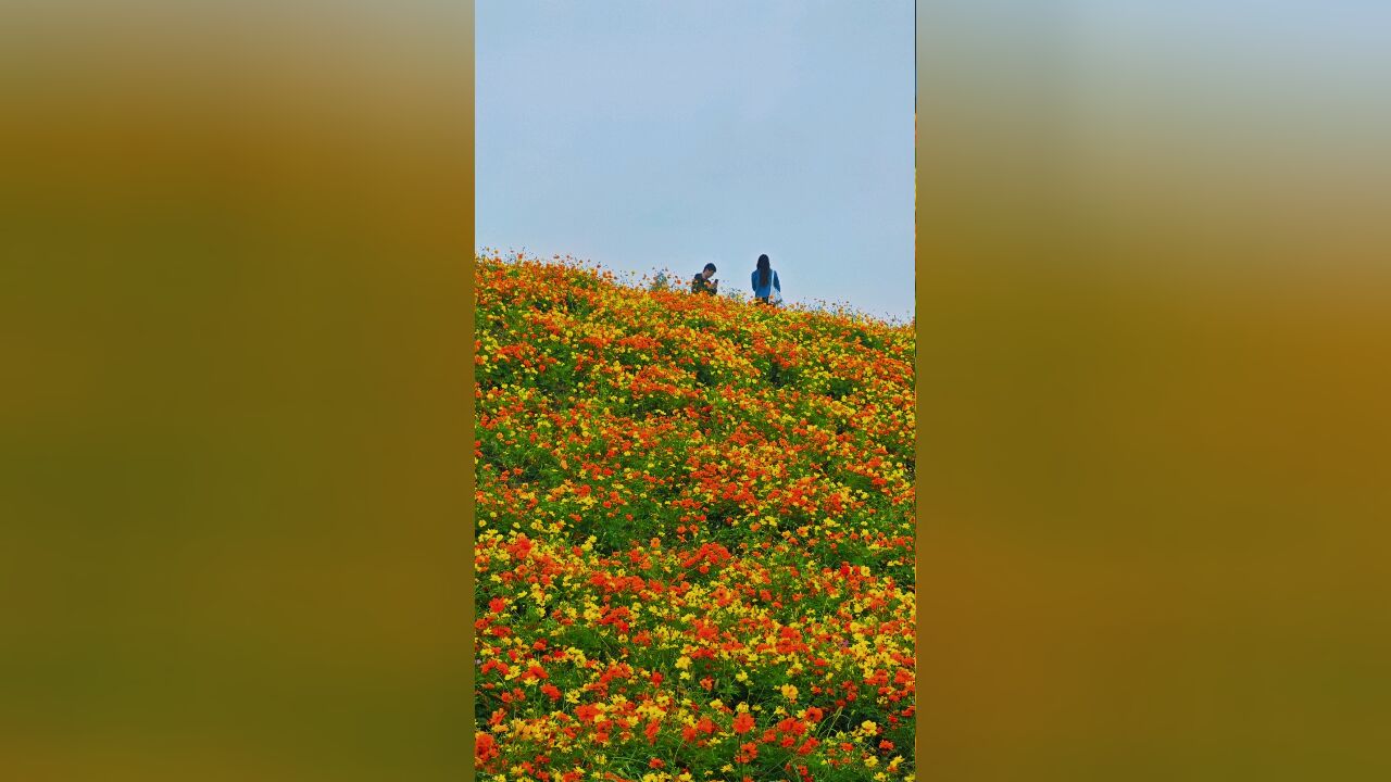 杭州阿勒泰,就隐藏在杭师大附属五常中学东侧,广福禅寺旁边