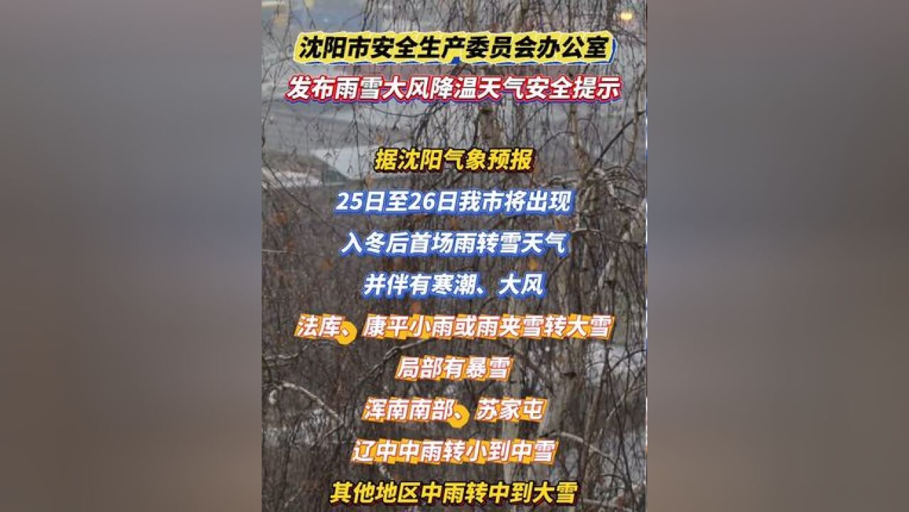 沈阳市安全生产委员会办公室发布雨雪大风降温天气安全提示