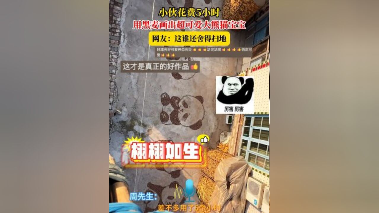 小伙花费5小时,用黑麦画出超可爱大熊猫宝宝,网友:这谁还舍得扫地