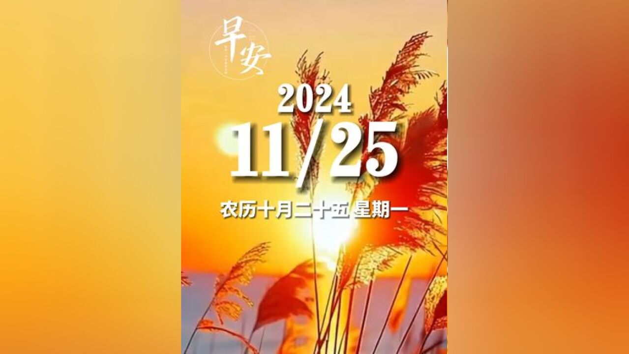 早安青岛 今天是11月25日 星期一 早安 只要你迈步,路就在你的脚下延伸