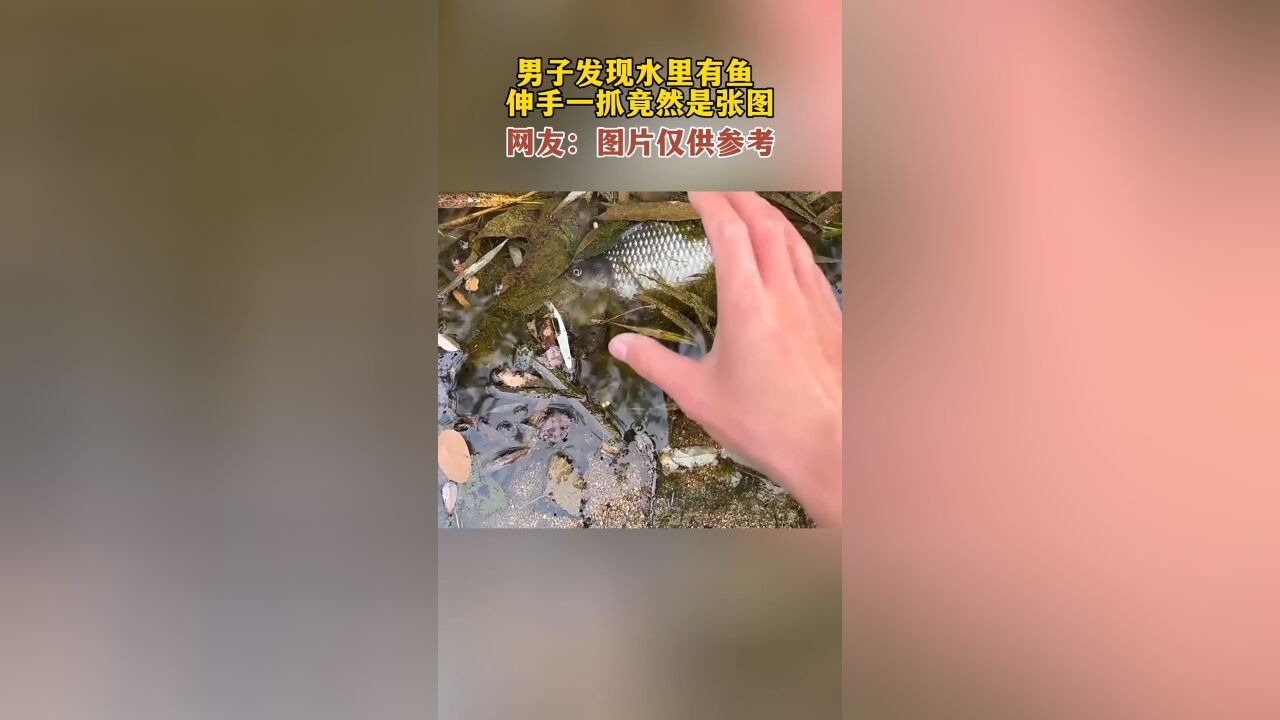 男子发现水里有鱼,伸手一抓竟然是张