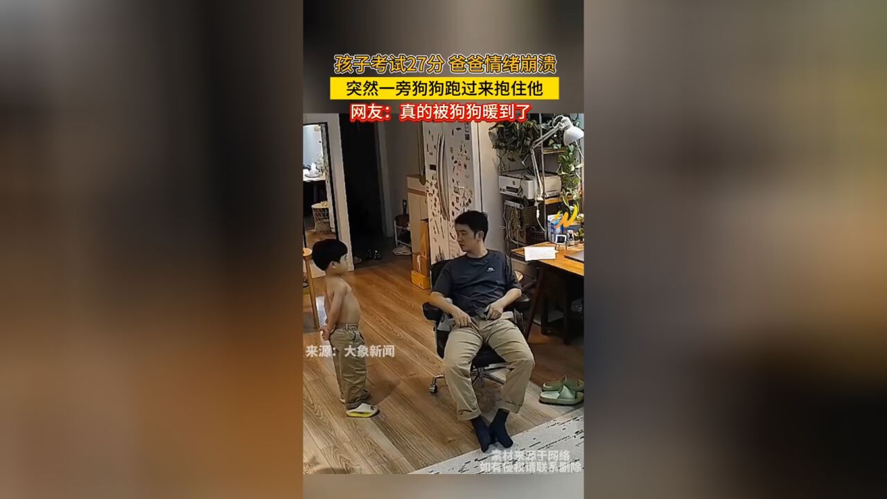 孩子考试27分 爸爸情绪崩溃,突然一旁狗狗跑过来抱住他