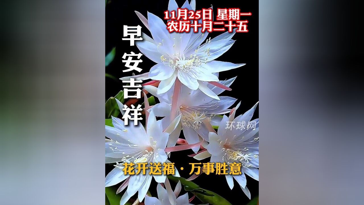 早安!花开送福,万事胜意,农历十月二十五,祝愿您和家人笑口常开,好运连连