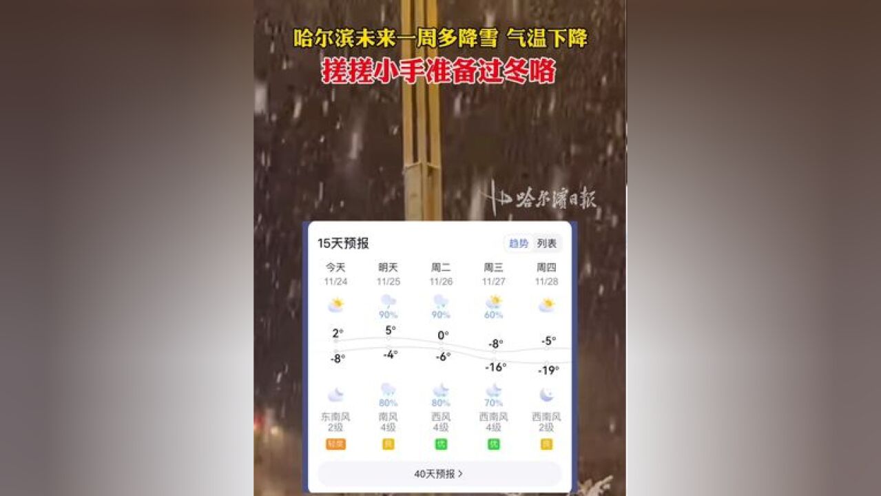 哈尔滨未来一周多降雪 气温下降,搓搓小手准备过冬咯