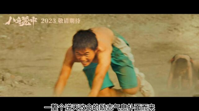 王宝强导演电影《八角笼中》预告曝光,逆天改命的励志气息扑面而来