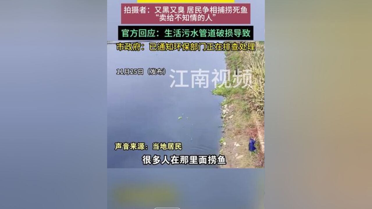 湖北天门一河流疑遭污染 拍摄者:又黑又臭 居民争相捕捞死鱼“卖给不知情的人”官方回应:生活污水管道破损导致