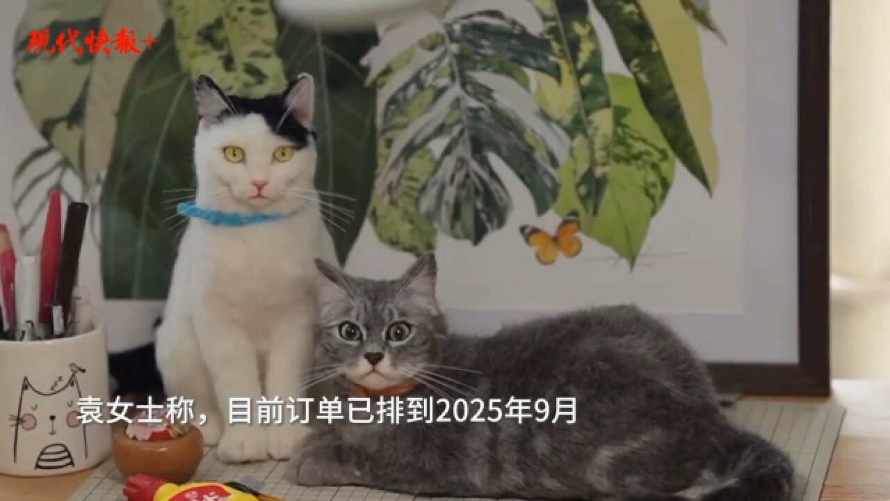 徐州女子制作“羊毛毡猫”爆火网络,订单已排到3年后