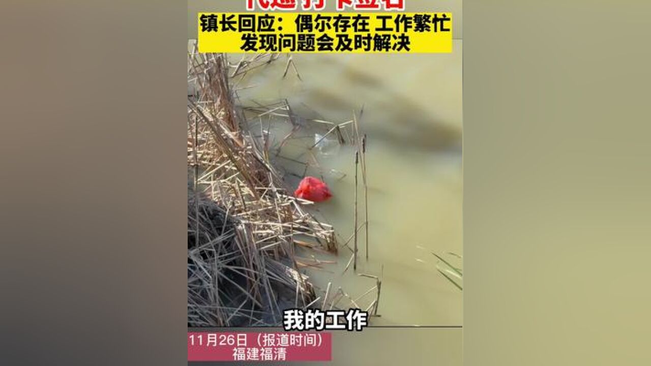 前河管员称帮镇长代巡 打卡签名,镇长回应:偶尔存在 工作繁忙,发现问题会及时解决