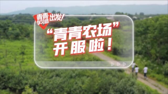 探寻中国式现代化之路|“青青农场”开服啦