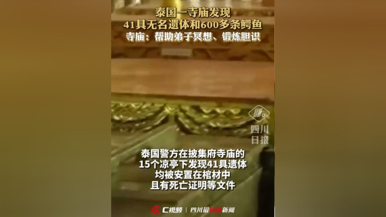 泰国一寺庙发现41具无名遗体和600多条鳄鱼,寺庙:帮助弟子冥想、锻炼胆识