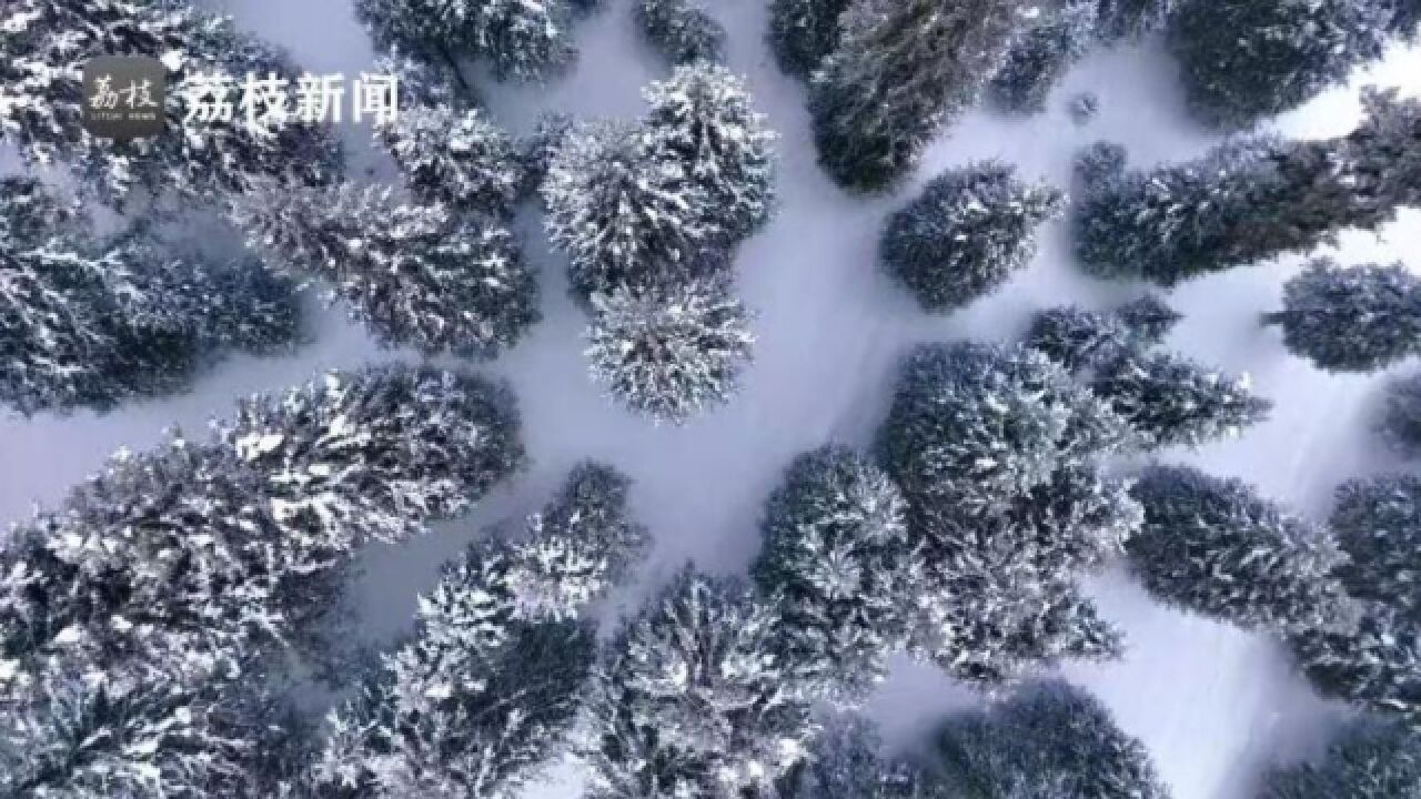 银装素裹!雪后阿克塔斯草原美如水墨画卷