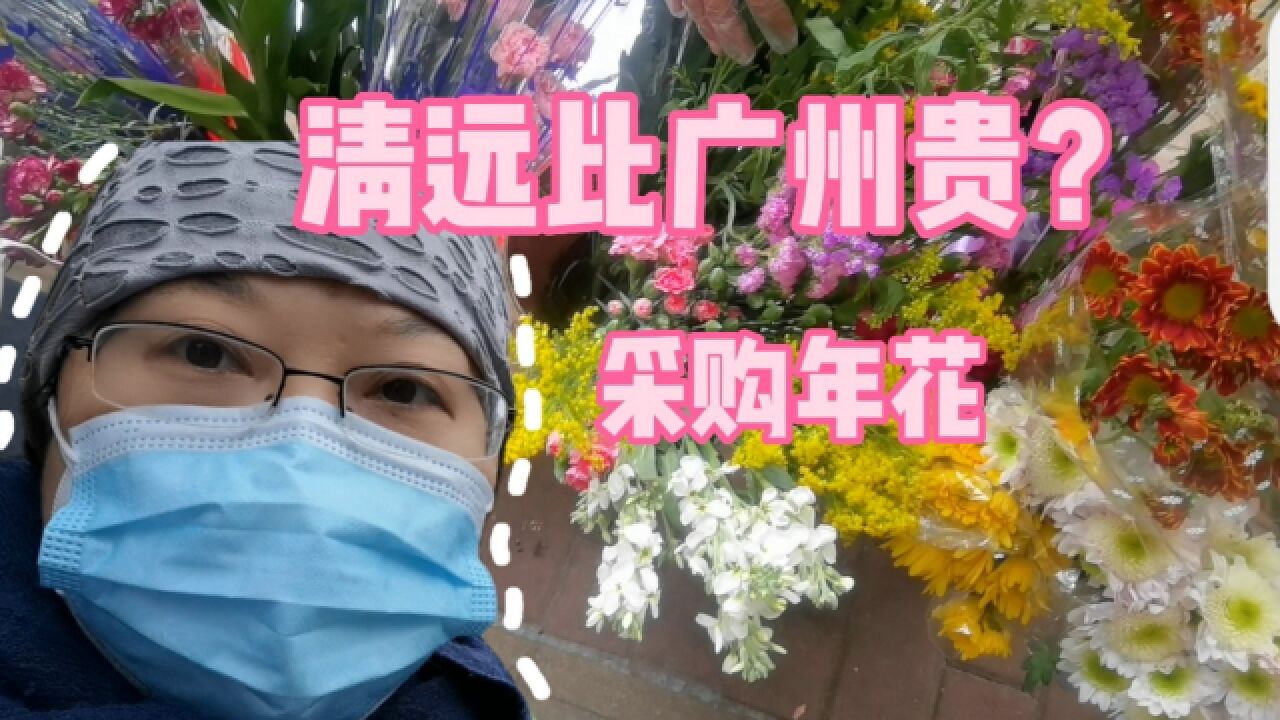 实拍在清远一个“大”市场采购年花,价格怎么样?比广州还贵?